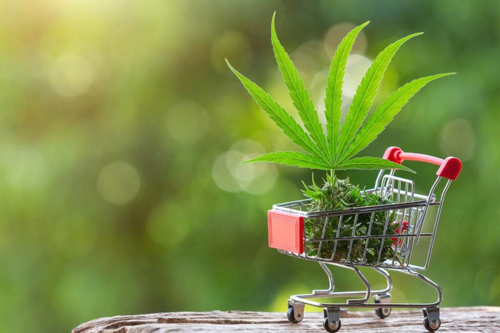 How much money can one weed plant make indoors and outdoors in 2025?